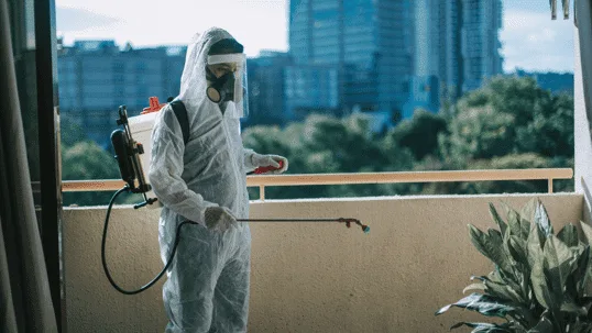 Pest Control in Commercial Buildings: Best Practices and Challenges
