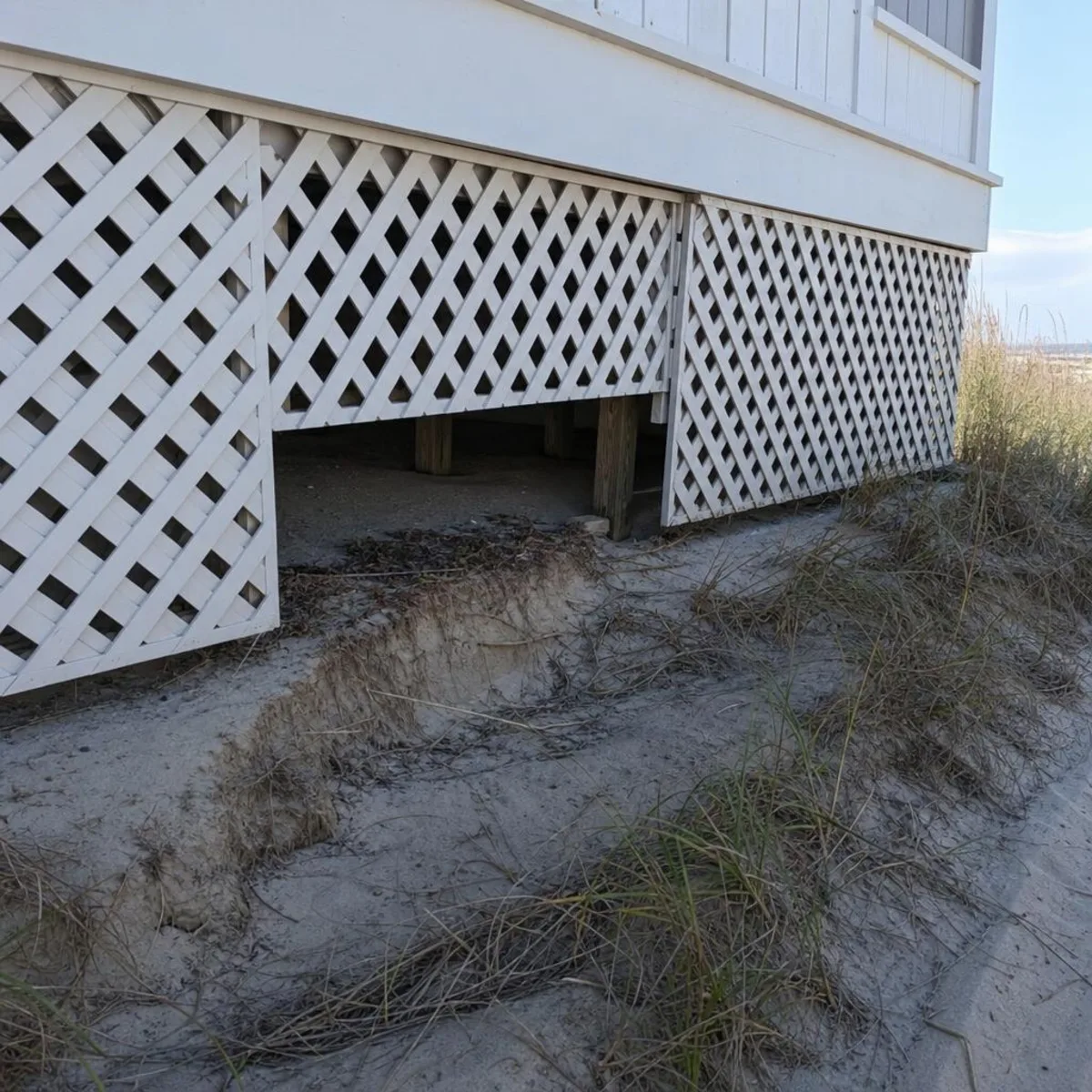 Wooden lattice skirting around the crawl space of a raised beach cottage, with sandy soil washed away below it leaving an open gap.