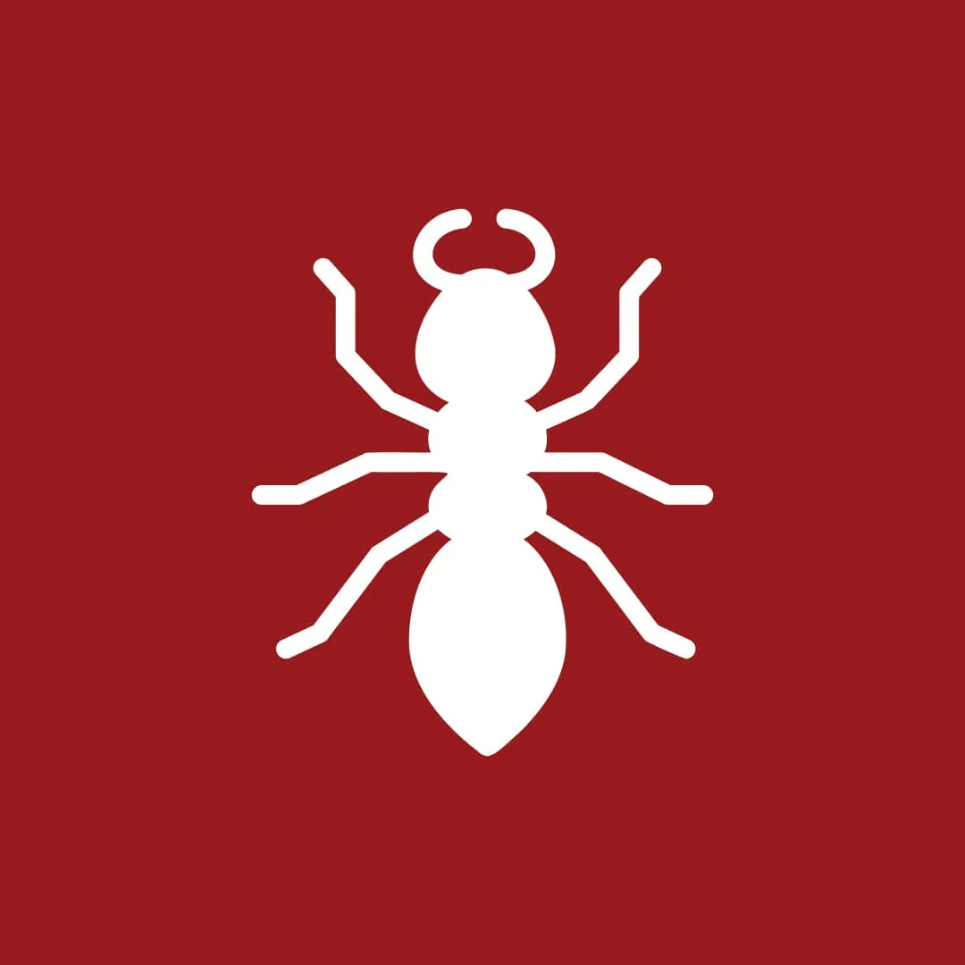 Ant Control Guide for North Linkhorn Park Homeowners