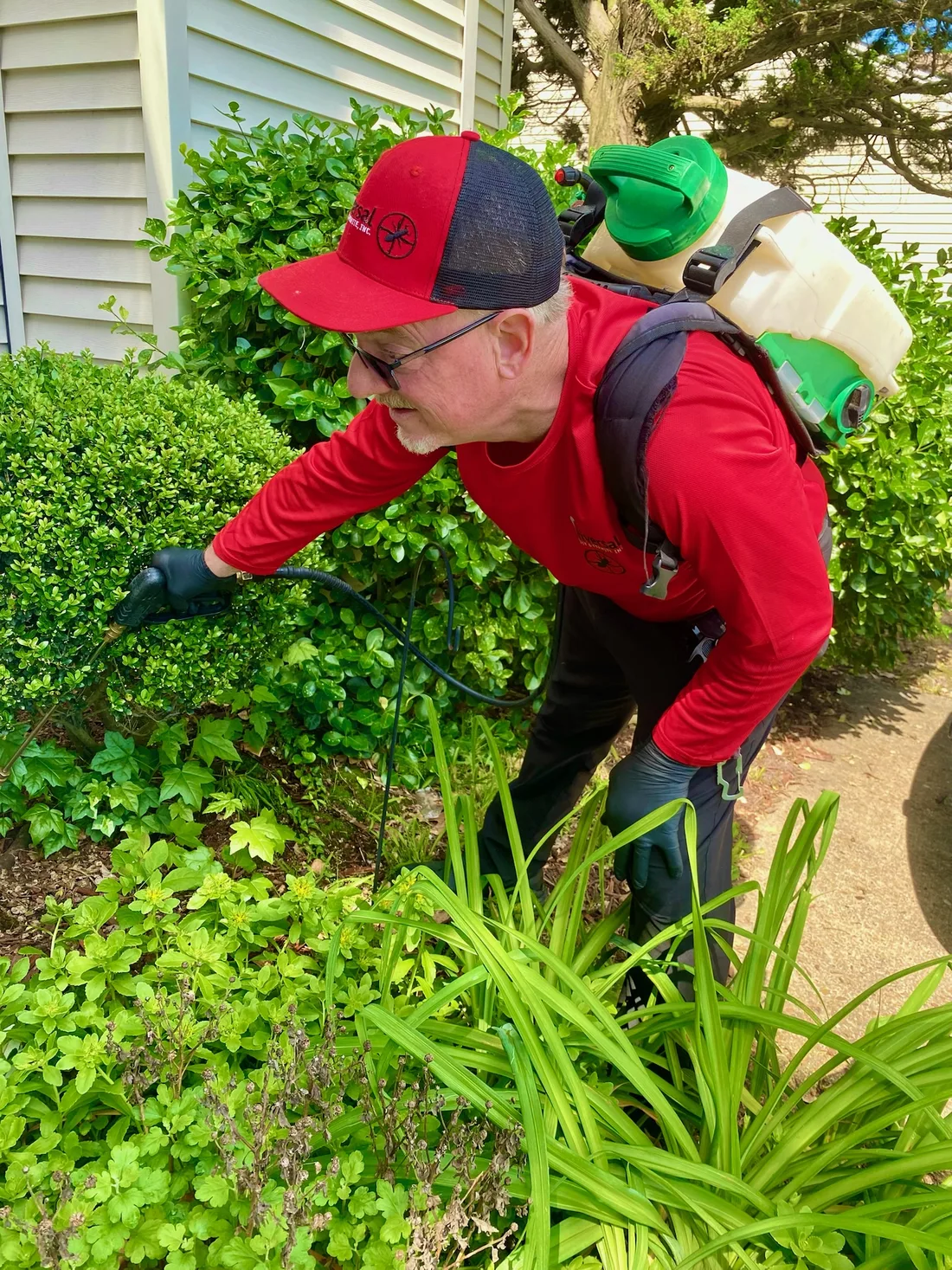 David Shafer, Lead Inspector at Universal Pest & Termite, treating a boxwood shrub line along a Hampton Roads foundation