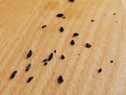 Top view of a person reaching for a cup of tea on a wooden table with a camera and phone.