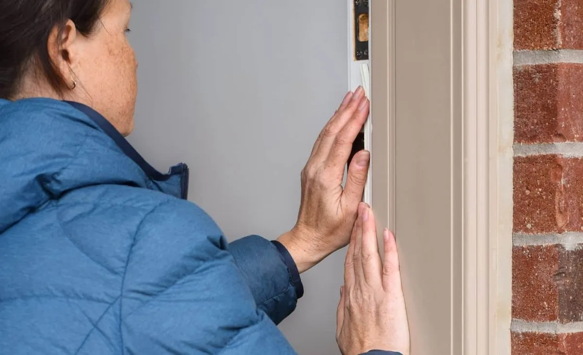 Signs Rodents Have Damaged Electrical Wiring (and What to Do First)