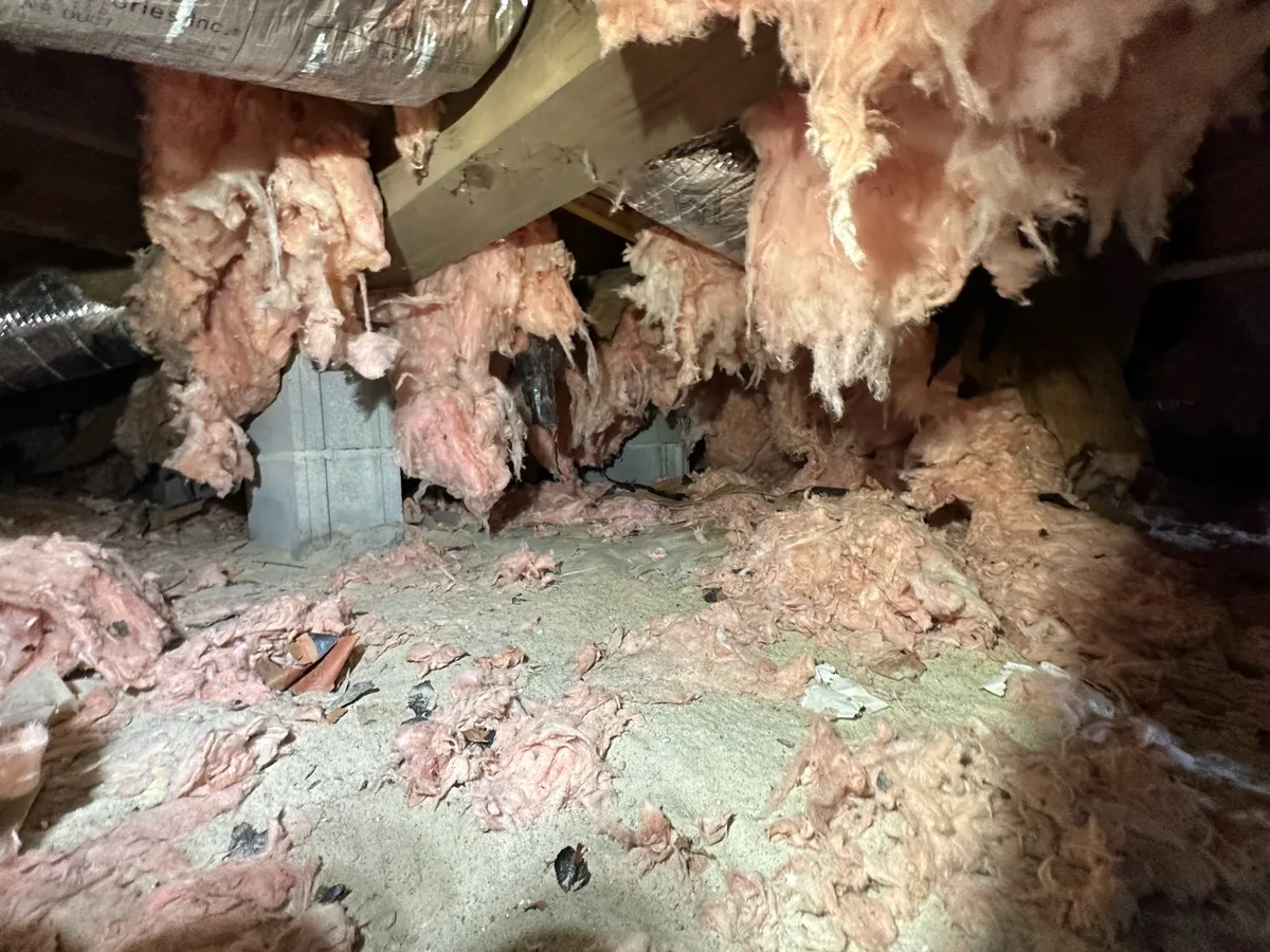 Hidden Crawl Space Water Damage in Hampton Roads Homes