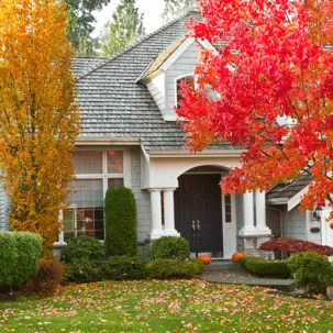 Which Home Pests are Worse in the Fall and Winter Months?