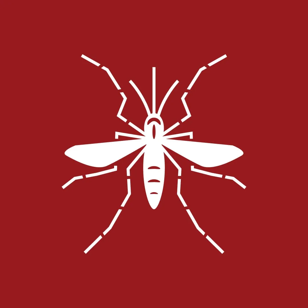 Mosquito Control Guide for Rudee Heights Residents