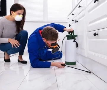 DIY vs Pro Pest Control Norfolk: Which Is Better?