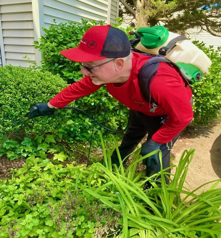 Is It Worth Paying for Pest Control?