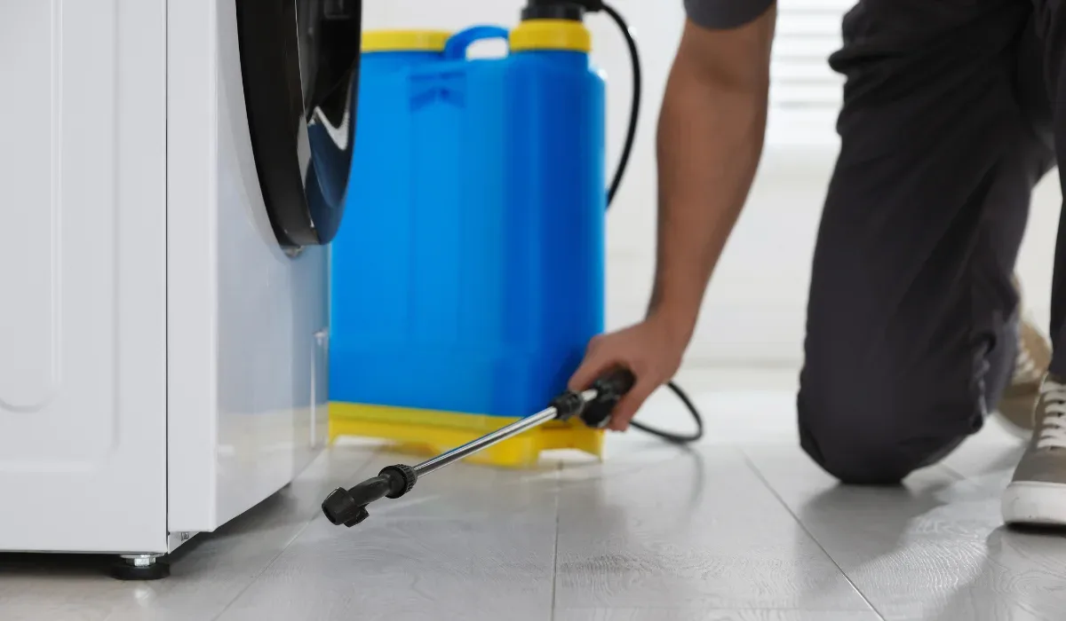 Pest Control Tips for Homeowners and Tenants: A Simple, High-Impact Checklist
