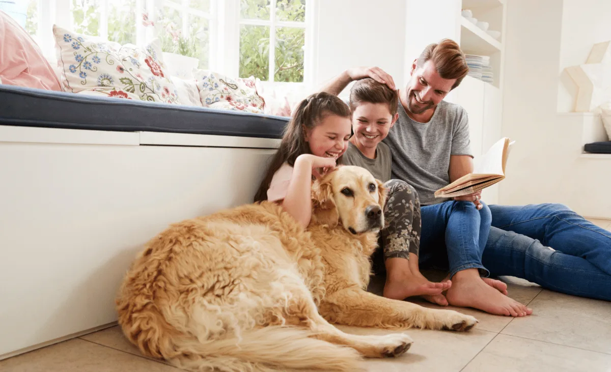 Pet-Safe Rodent Control Tips for Chesapeake Homeowners