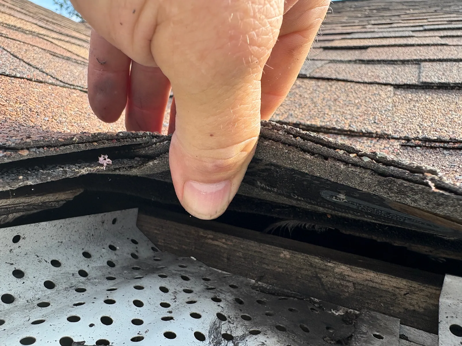 Builder's gap beneath the edge of roof shingles that can let rodents enter an attic.