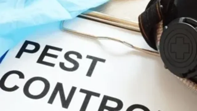 10 Tips For Controlling Pests In and Around Your Home
