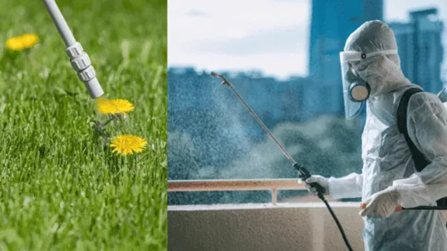 Pest Control for Seasonal Infestations: Summer, Winter, and Beyond