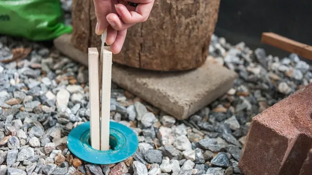 Termite Bait vs Liquid Barrier for Newport News Homes