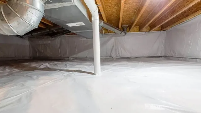 How Often Should You Clean Your Crawl Space in Virginia Beach’s Humid Climate?
