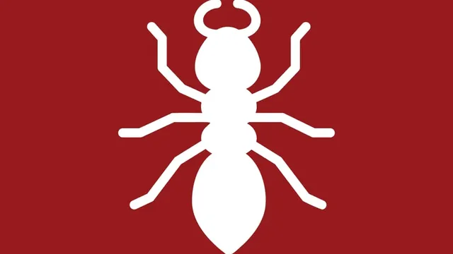 Ant Control Guide for North Linkhorn Park Homeowners