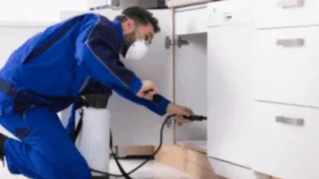 Hire Professional Pest Control Services or DIY?