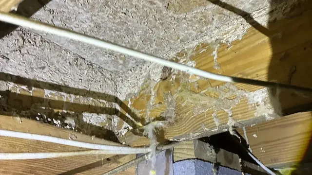 Termite mud tubes and damage crossing crawl-space joists and subfloor framing.