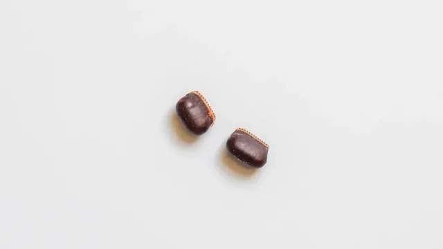 How to Identify Cockroach Egg Cases in Norfolk Houses