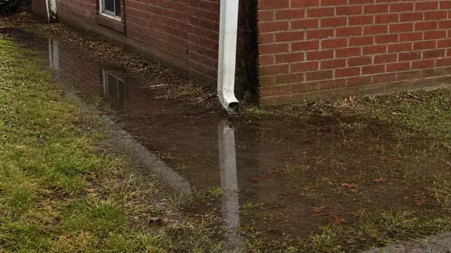 Standing rainwater pooled in a low yard right against the brick foundation and downspout of a Norfolk home after a heavy storm.