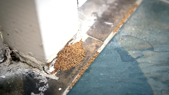 Termite Frass vs Sawdust: What Suffolk Homeowners Should Know