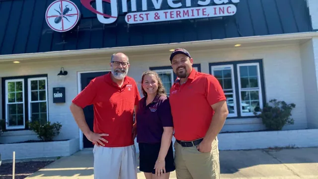 The Pest Control Journey in Hampton Roads