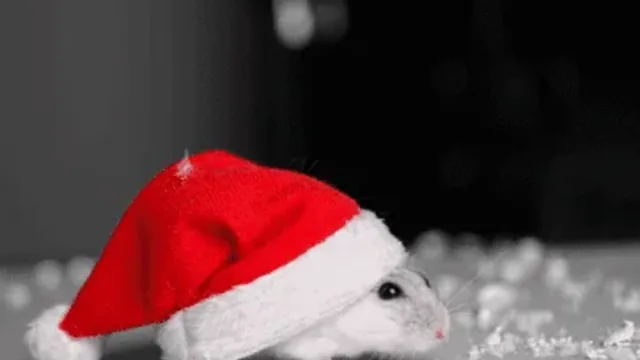 How To Keep Mice Away During the Winter Months