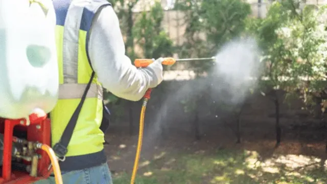Why Fall is the Ideal Time for Pest Inspections: Don’t Skip It!