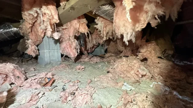 Hidden Crawl Space Water Damage in Hampton Roads Homes