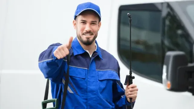 Professional Pest Control: When to Call the Experts