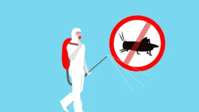 Dangers of DIY Pest Control: What to Know Before Trying It