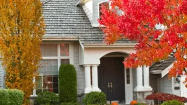 Which Home Pests are Worse in the Fall and Winter Months?