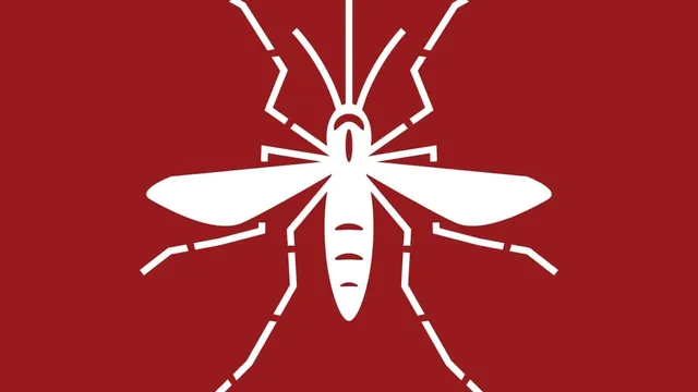 Mosquito Control Guide for Rudee Heights Residents
