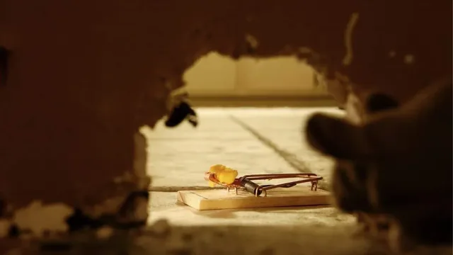 Rat Trapping and Removal Methods That Work for Hampton Roads