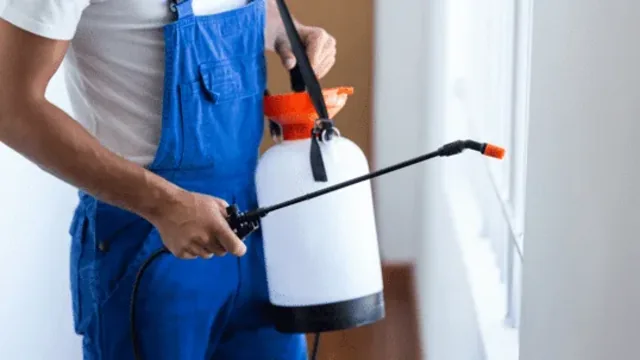 Why Hiring Pest Control for Spiders is a Wise Choice