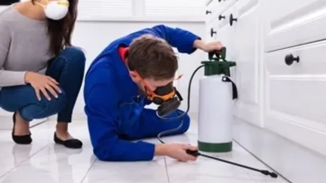 DIY vs Pro Pest Control Norfolk: Which Is Better?