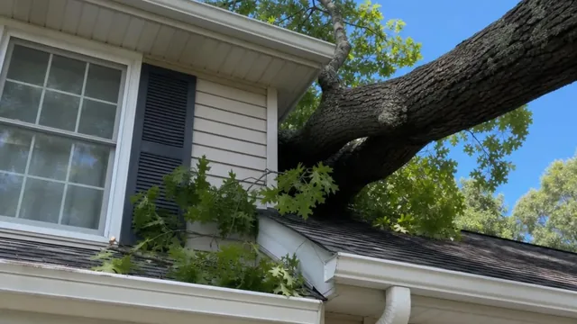 A heavy oak branch resting against the gutter and roof edge of a suburban two-story home, its leaves touching the shingles.