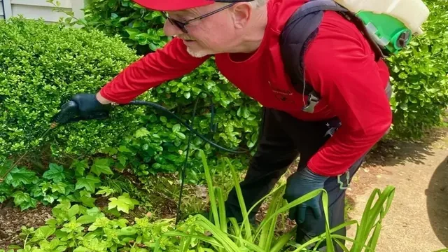 Is It Worth Paying for Pest Control?