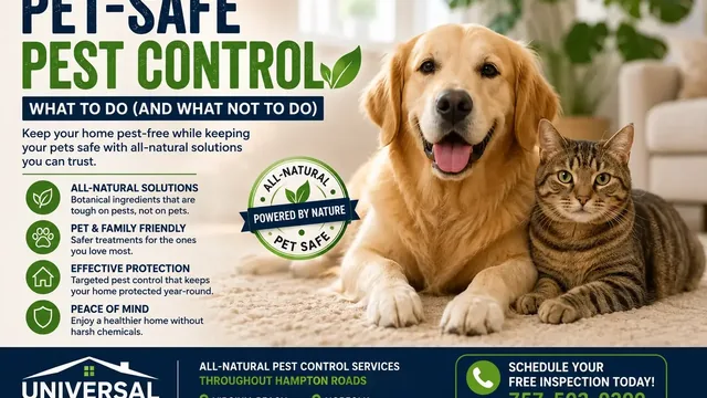 Pet-Safe Pest Control: What to Do (and What Not to Do)