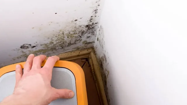 Humidity + Pests: The Moisture Problems That Trigger Infestations in Lake Taylor Homes