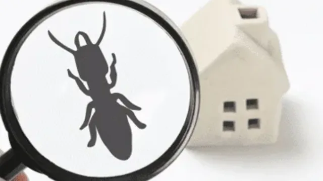 Ant Control: Effective Methods for Eliminating Ants