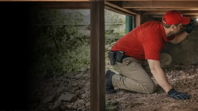 Termite Inspection Cost in Virginia Beach: Free Homeowner Visit vs. the WDIR Letter
