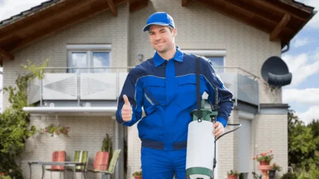The Importance of Hiring Pest Control for Rodent Infestations