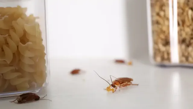 Several cockroaches crawling beside an open food container on a kitchen counter.