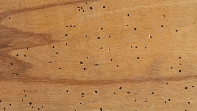 How to Identify Termite Kickout Holes in Norfolk Homes