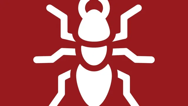 Termite Prevention Guide for Linkhorn Estates Homeowners