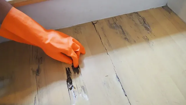 How Termites Damage Hardwood Floors in Portsmouth Homes