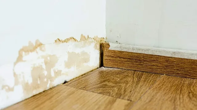 Mouse Entry Points In Chesapeake, Virginia (And How To Seal Each Spot)