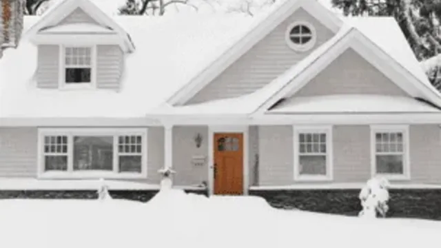 Pest Control Tips For Winter