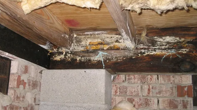 The Summer Sweat: The Science of Crawlspace Condensation in Hampton Roads