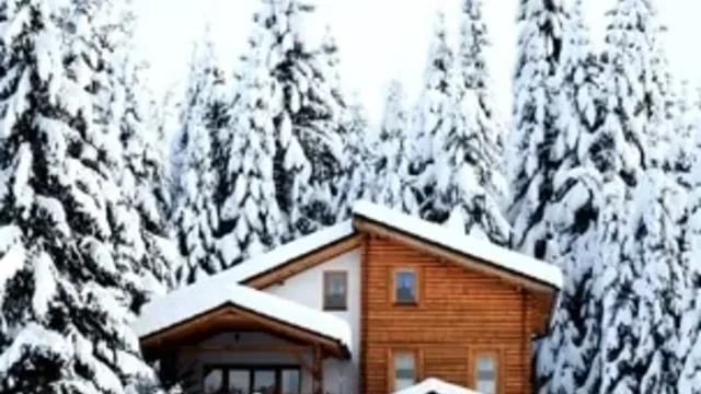 5 Reasons Why You Need Pest Control In Winter